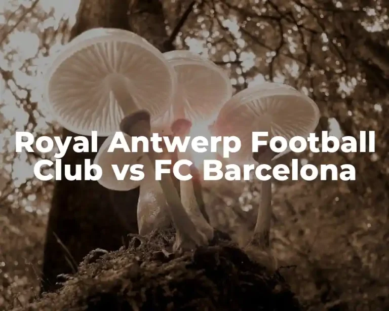 Royal Antwerp Football Club vs FC Barcelona