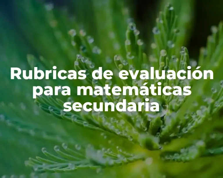 Rubricas de evaluación para matemáticas secundaria
