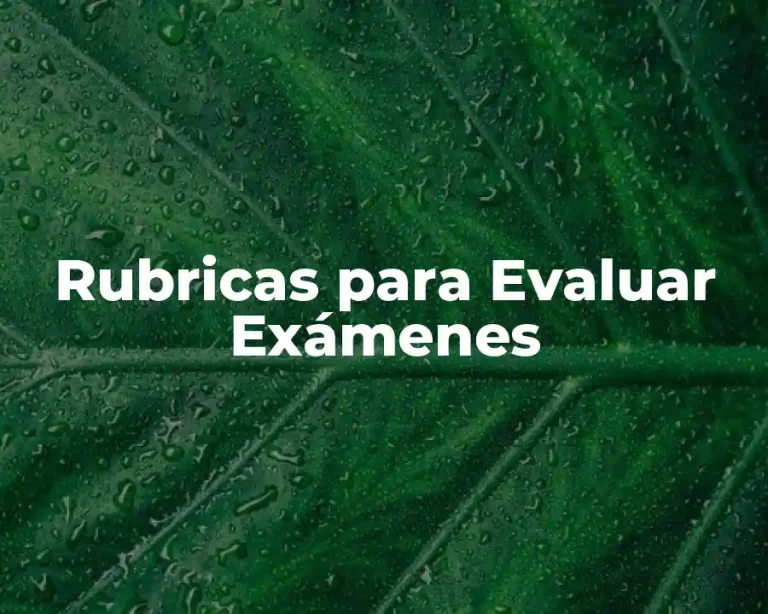 Rubricas para Evaluar Exámenes
