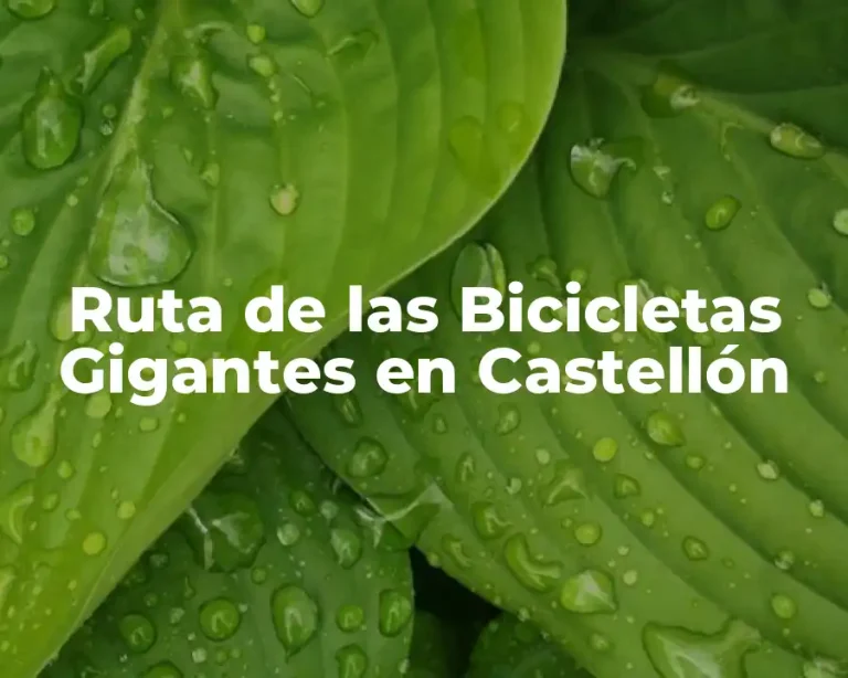 Ruta de las Bicicletas Gigantes en Castellón