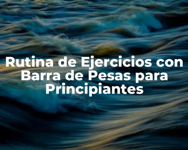 Rutina de Ejercicios con Barra de Pesas para Principiantes