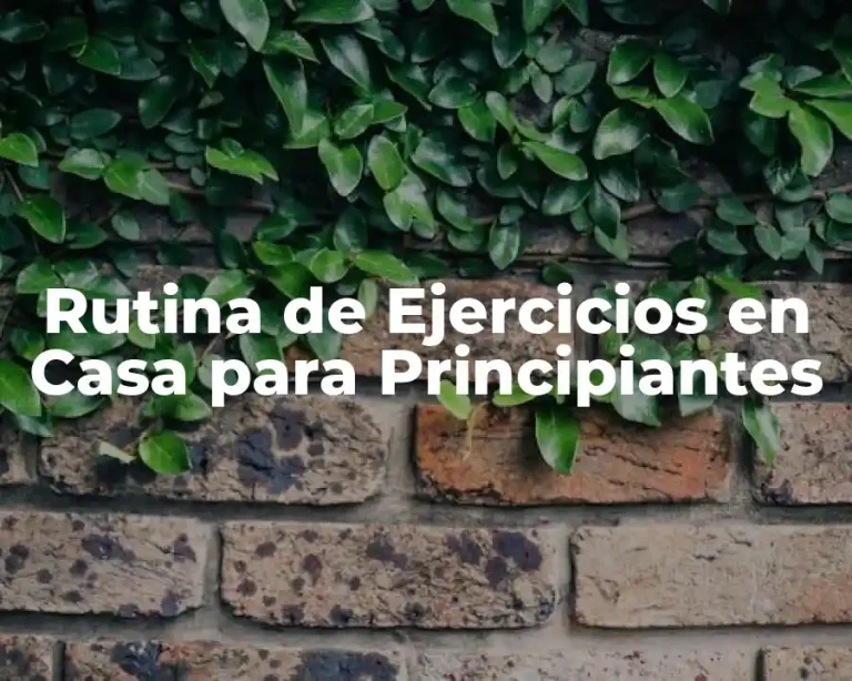 Rutina de Ejercicios en Casa para Principiantes
