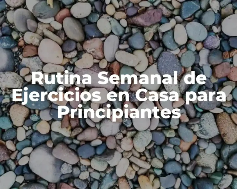 Rutina Semanal de Ejercicios en Casa para Principiantes