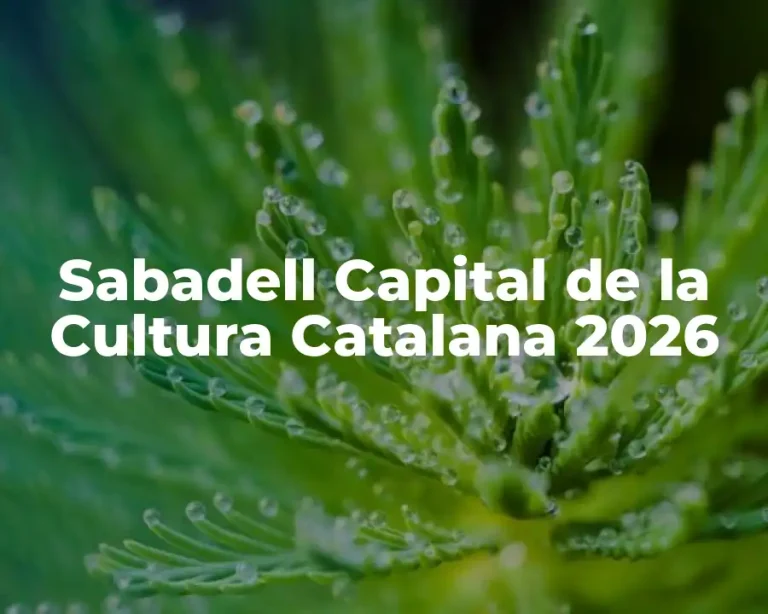 Sabadell Capital de la Cultura Catalana 2026