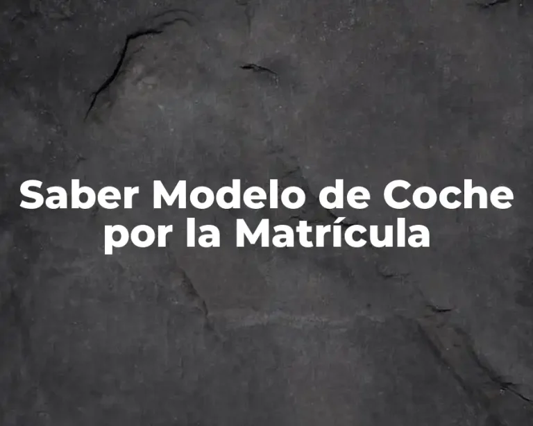 Saber Modelo de Coche por la Matrícula