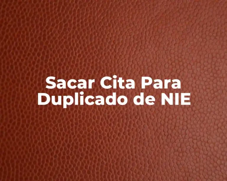 Sacar Cita Para Duplicado de NIE