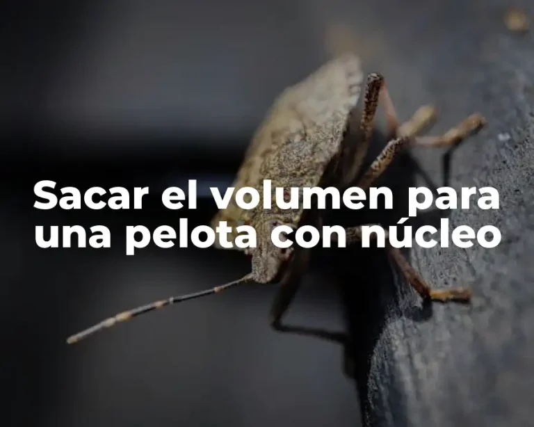 Sacar el volumen para una pelota con núcleo