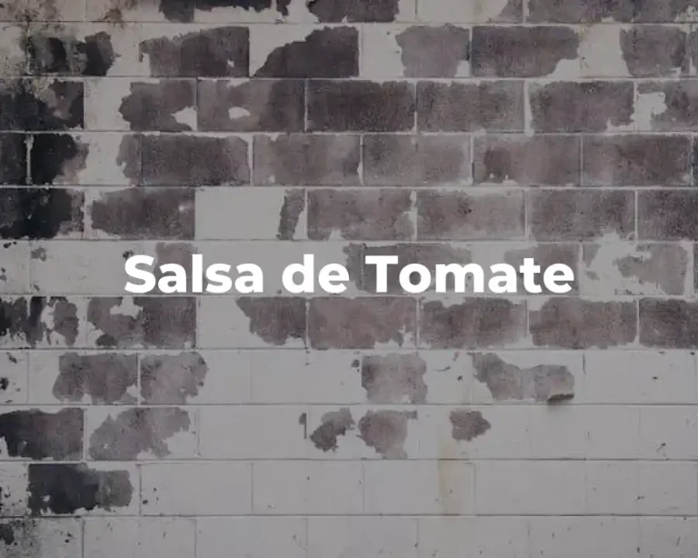 Salsa de Tomate