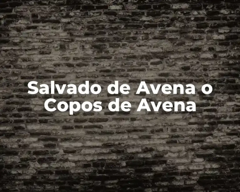 Salvado de Avena o Copos de Avena