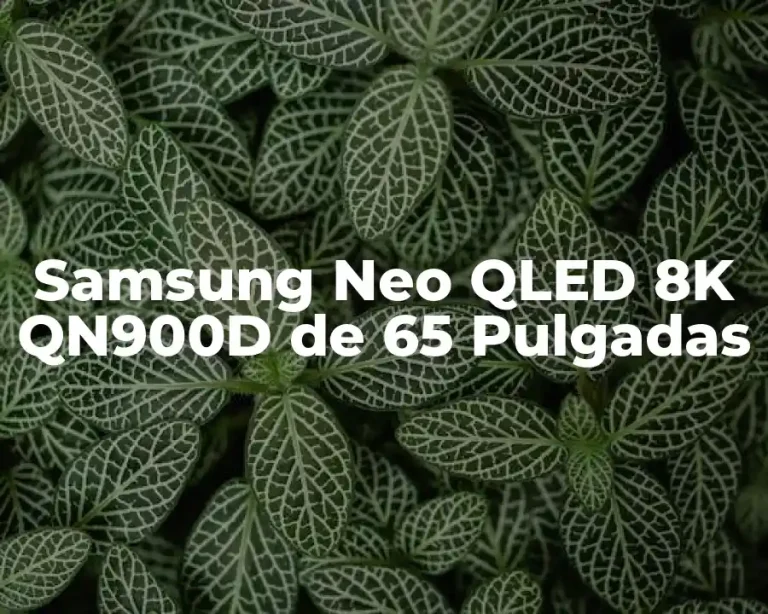 Samsung Neo QLED 8K QN900D de 65 Pulgadas