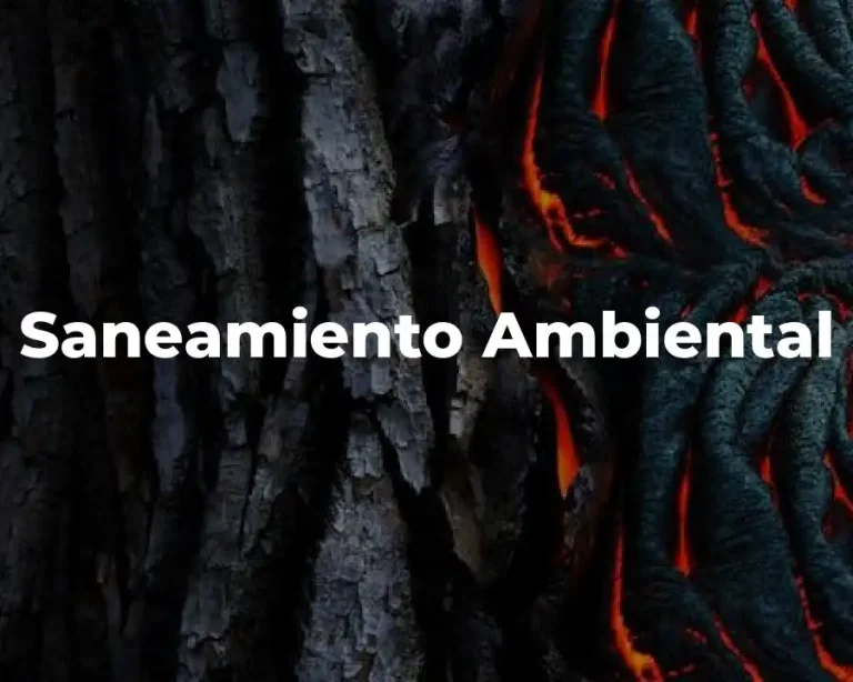 Saneamiento Ambiental