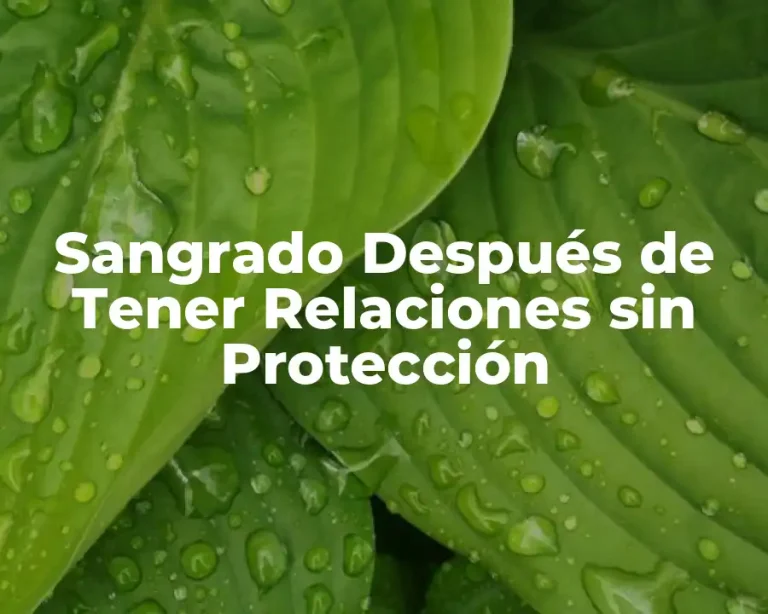Sangrado Después de Tener Relaciones sin Protección