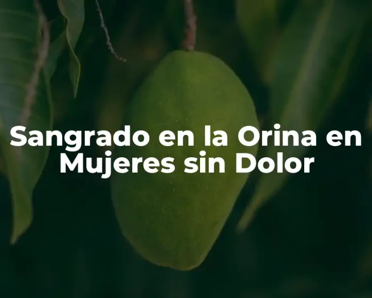 Sangrado en la Orina en Mujeres sin Dolor