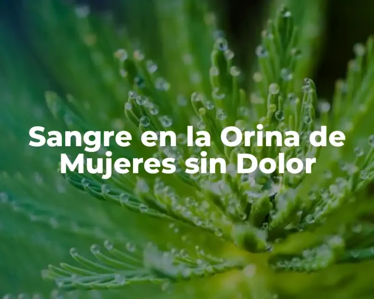 Sangre en la Orina de Mujeres sin Dolor