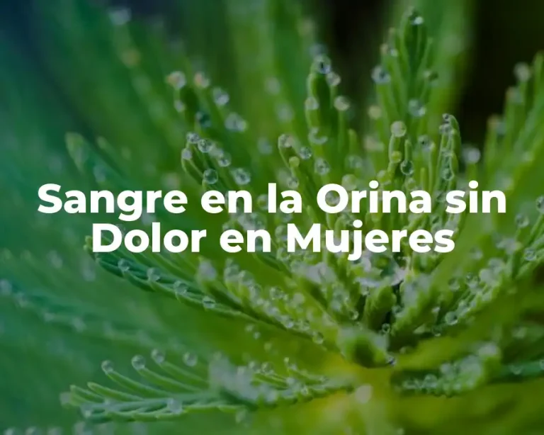Sangre en la Orina sin Dolor en Mujeres