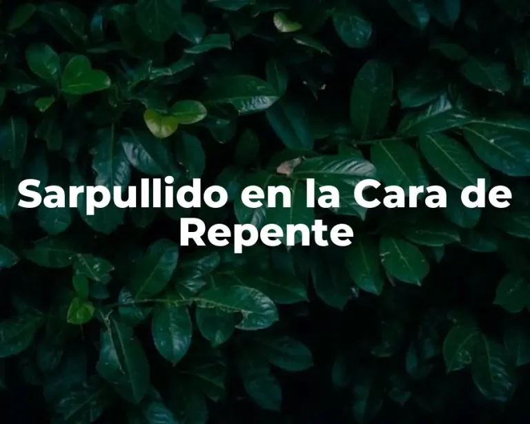 Sarpullido en la Cara de Repente