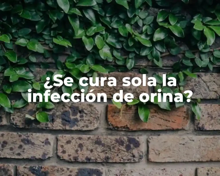 ¿Se cura sola la infección de orina?