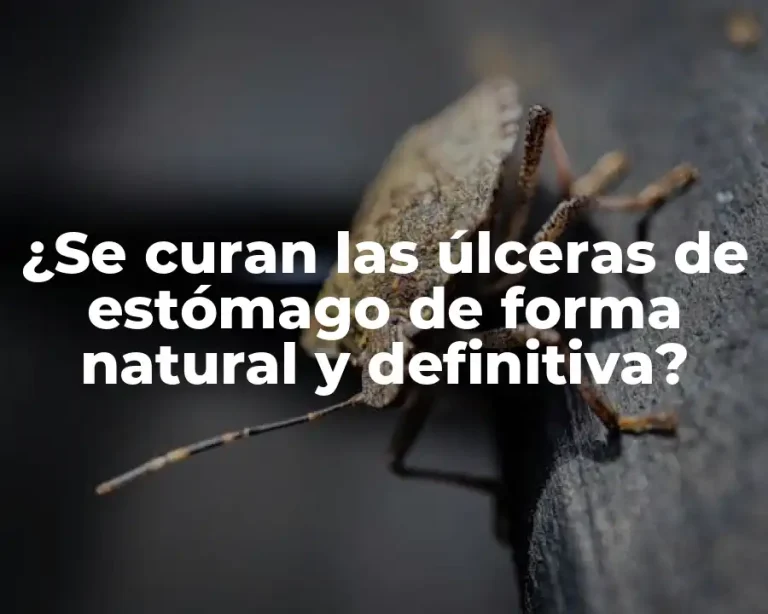 ¿Se curan las úlceras de estómago de forma natural y definitiva?