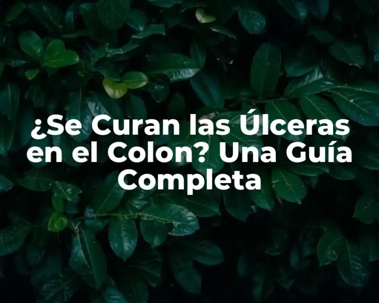 ¿Se Curan las Úlceras en el Colon? Una Guía Completa
