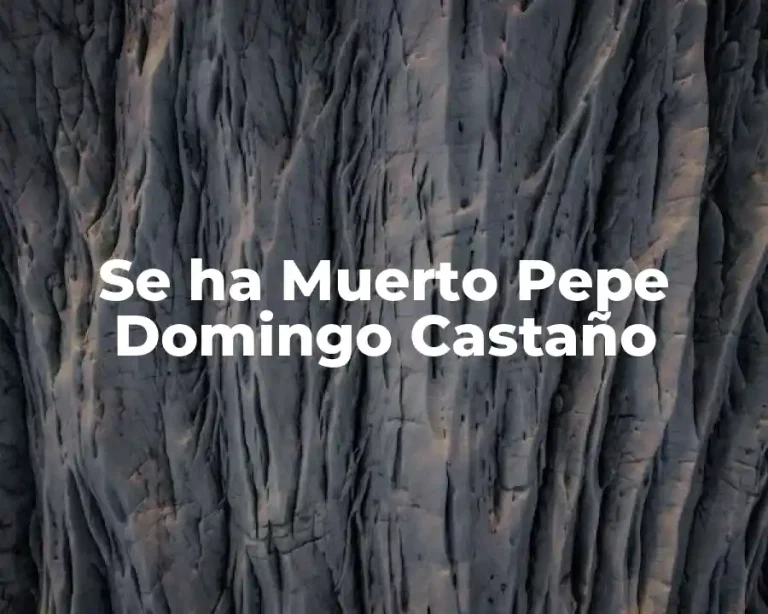 Se ha Muerto Pepe Domingo Castaño