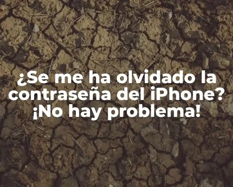 ¿Se me ha olvidado la contraseña del iPhone? ¡No hay problema!