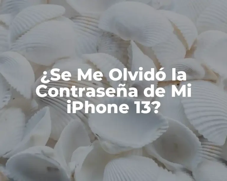 ¿Se Me Olvidó la Contraseña de Mi iPhone 13?