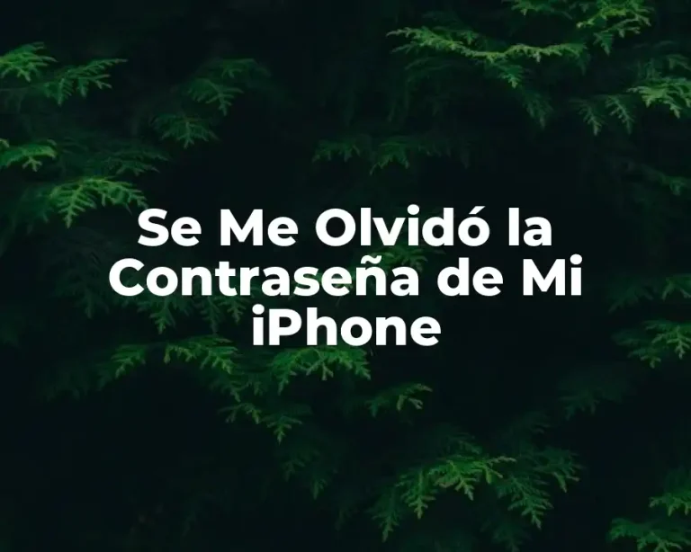 Se Me Olvidó la Contraseña de Mi iPhone