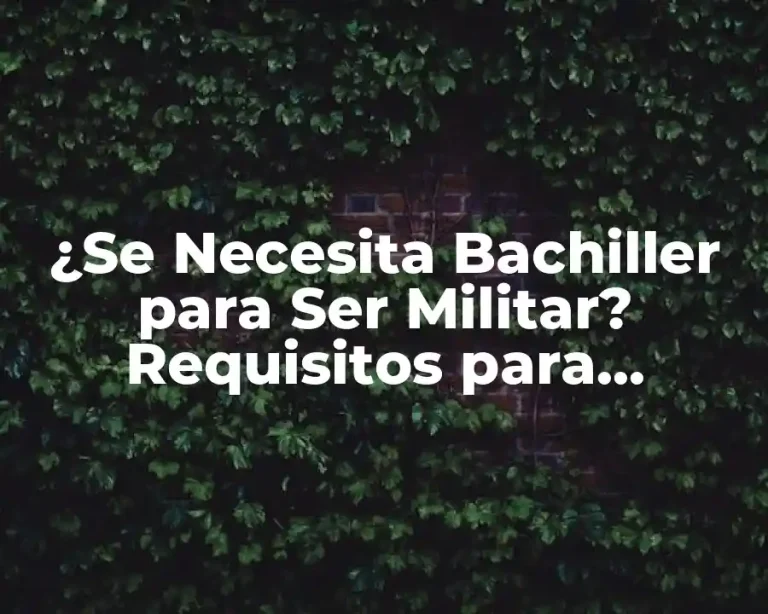 ¿Se Necesita Bachiller para Ser Militar? Requisitos para Ingresar en las Fuerzas Armadas