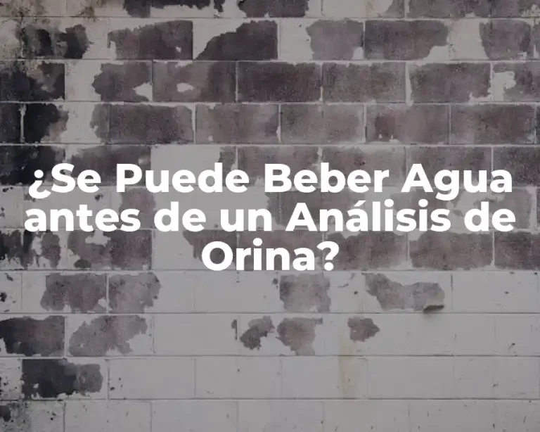 ¿Se Puede Beber Agua antes de un Análisis de Orina?