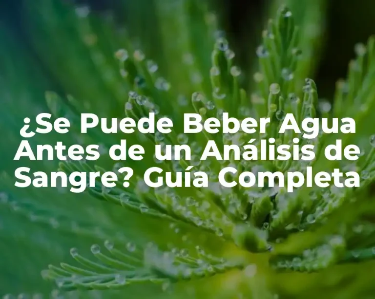 ¿Se Puede Beber Agua Antes de un Análisis de Sangre? Guía Completa
