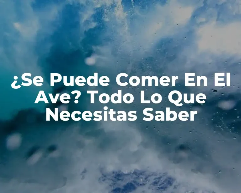 ¿Se Puede Comer En El Ave? Todo Lo Que Necesitas Saber