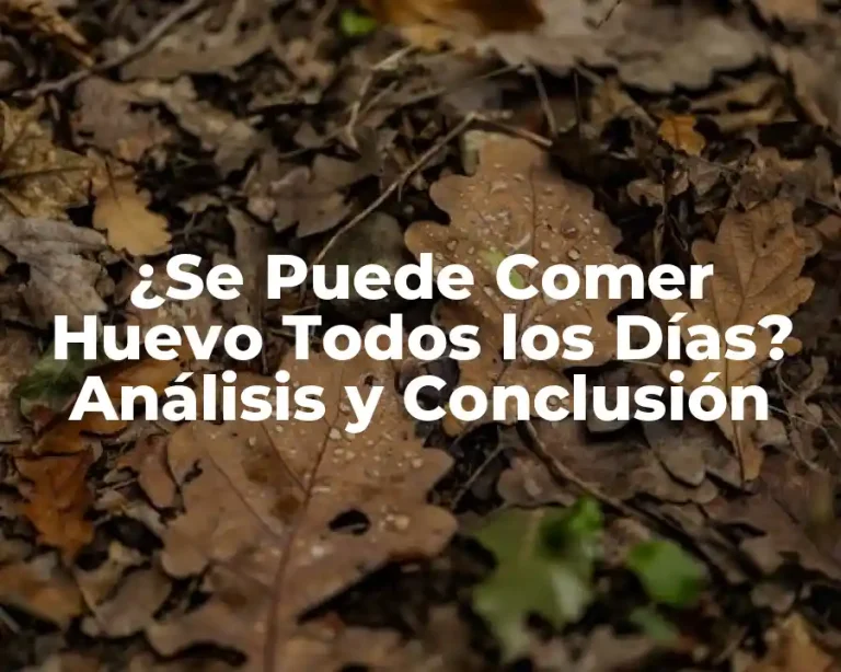 ¿Se Puede Comer Huevo Todos los Días? Análisis y Conclusión