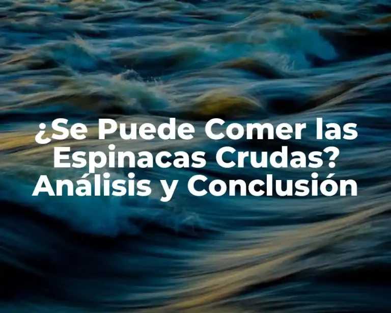 ¿Se Puede Comer las Espinacas Crudas? Análisis y Conclusión