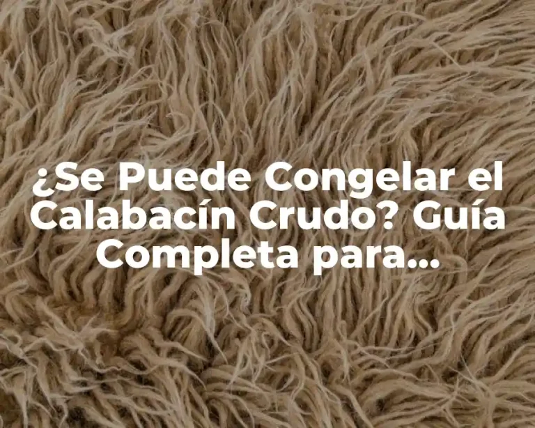 ¿Se Puede Congelar el Calabacín Crudo? Guía Completa para Congelar Calabacín