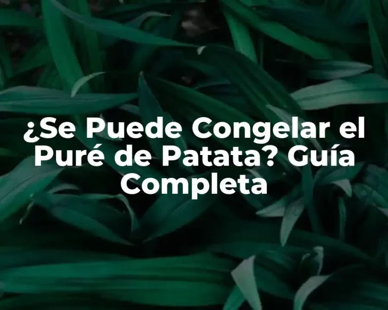 ¿Se Puede Congelar el Puré de Patata? Guía Completa