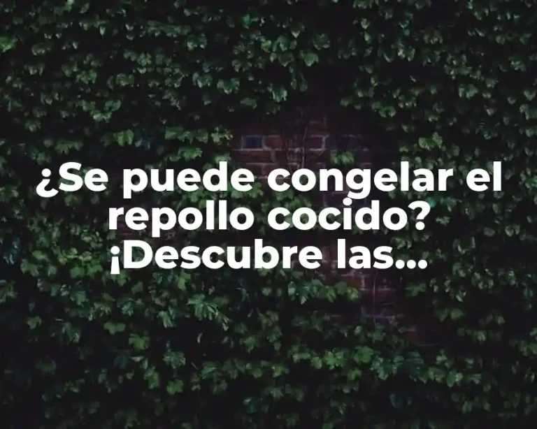 ¿Se puede congelar el repollo cocido? ¡Descubre las respuestas!