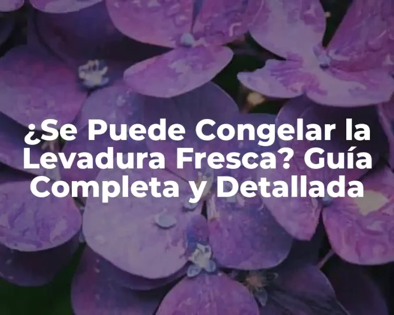 ¿Se Puede Congelar la Levadura Fresca? Guía Completa y Detallada