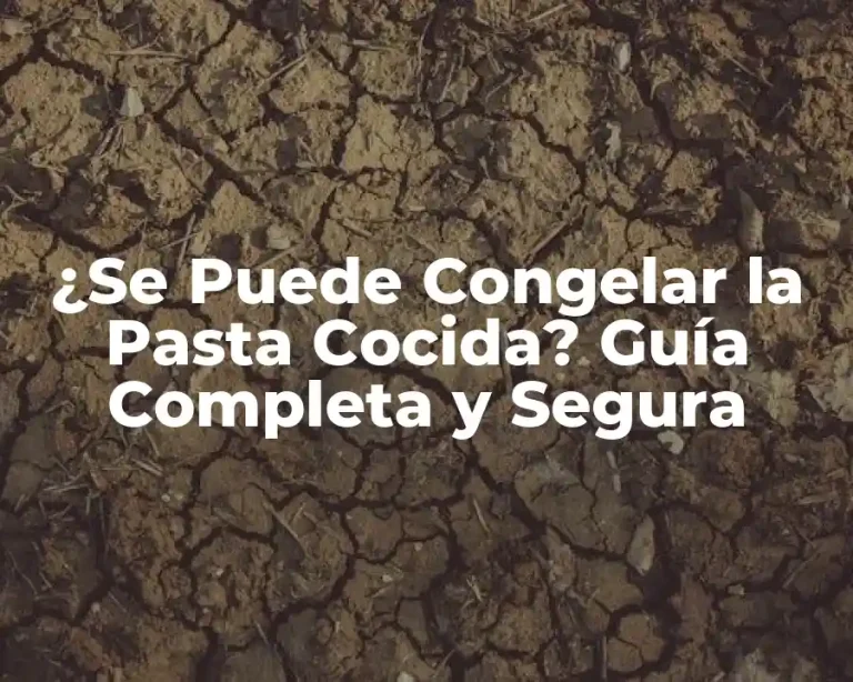 ¿Se Puede Congelar la Pasta Cocida? Guía Completa y Segura