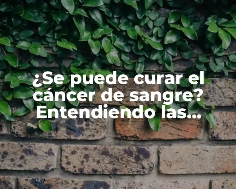 ¿Se puede curar el cáncer de sangre? Entendiendo las opciones de tratamiento