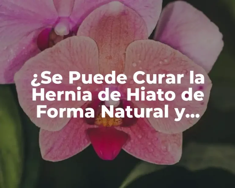 ¿Se Puede Curar la Hernia de Hiato de Forma Natural y Permanente?