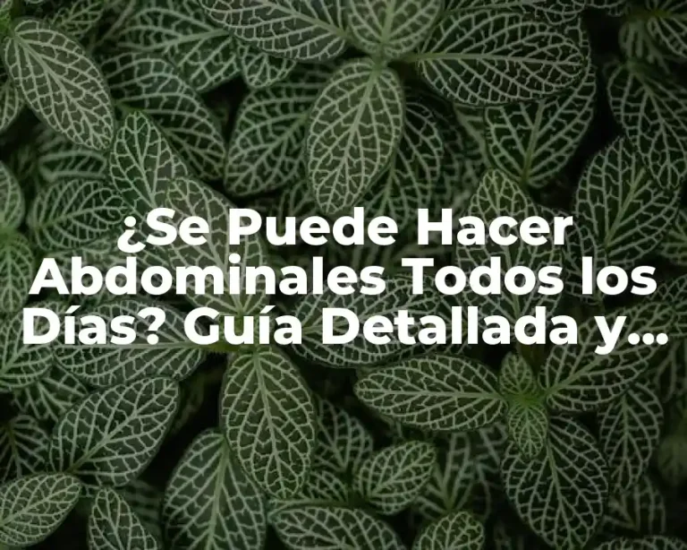 ¿Se Puede Hacer Abdominales Todos los Días? Guía Detallada y Segura
