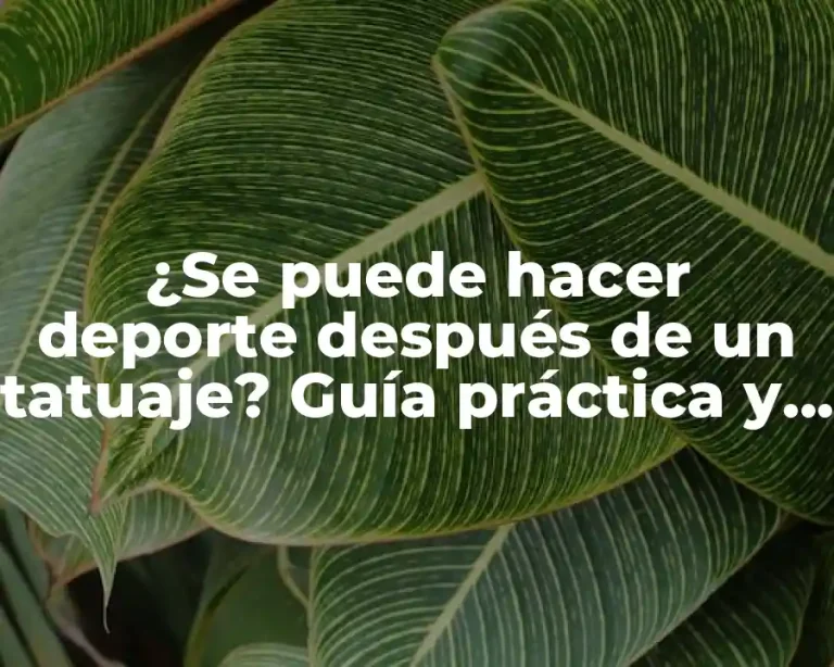 ¿Se puede hacer deporte después de un tatuaje? Guía práctica y segura