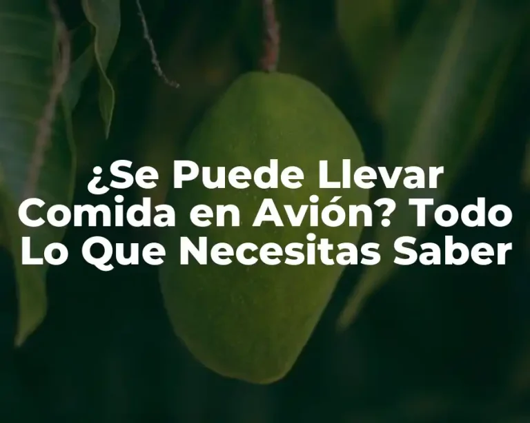 ¿Se Puede Llevar Comida en Avión? Todo Lo Que Necesitas Saber