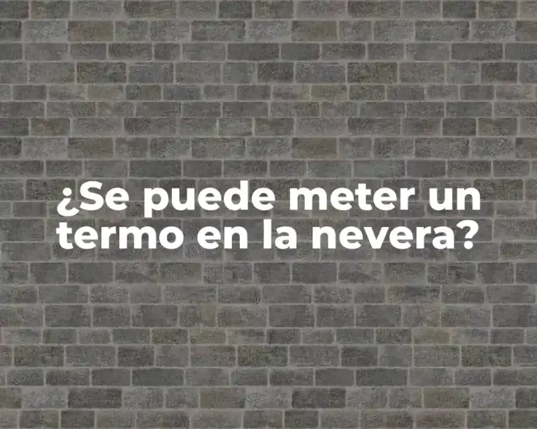 ¿Se puede meter un termo en la nevera?