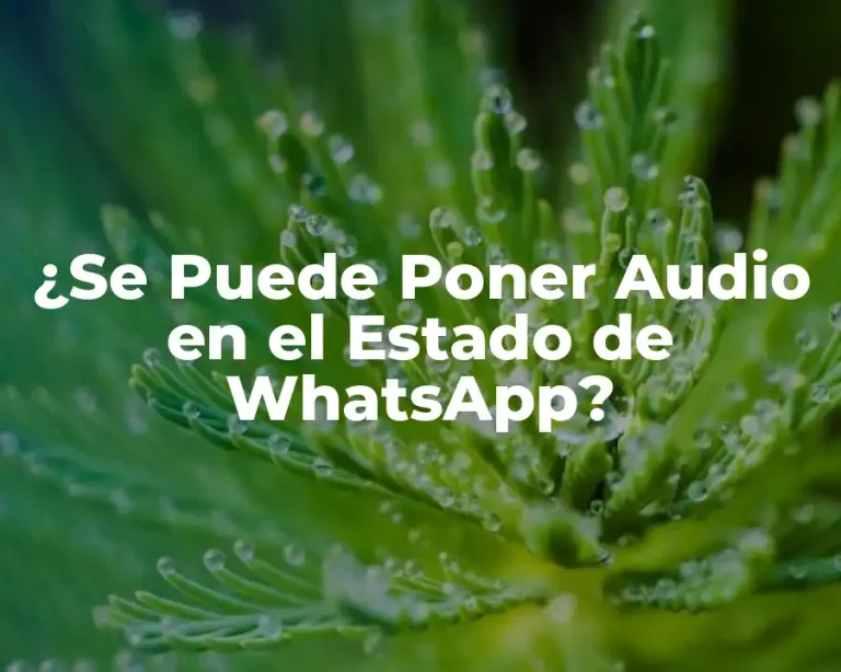 ¿Se Puede Poner Audio en el Estado de WhatsApp?