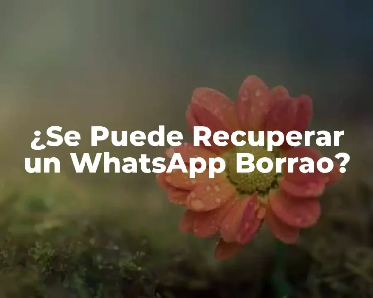 ¿Se Puede Recuperar un WhatsApp Borrao?