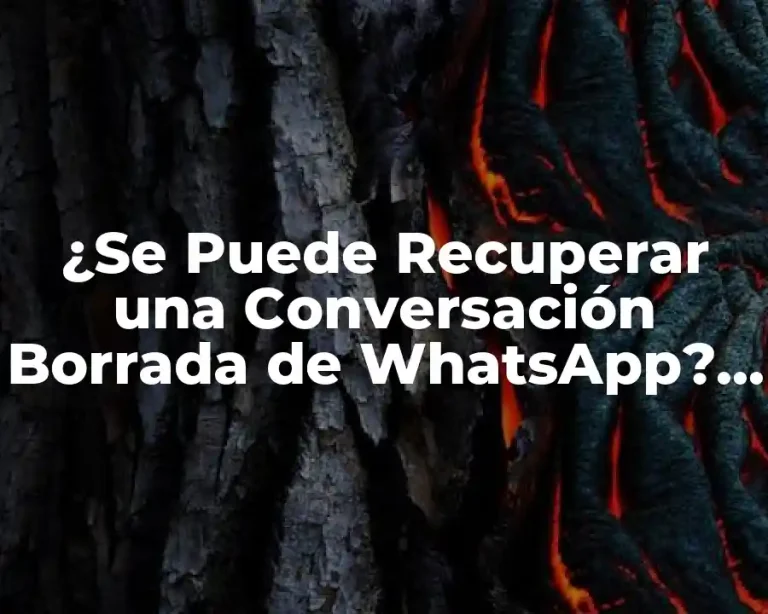 ¿Se Puede Recuperar una Conversación Borrada de WhatsApp? | Guía Completa