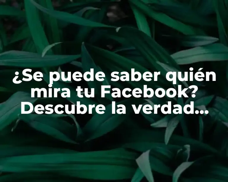 ¿Se puede saber quién mira tu Facebook? Descubre la verdad sobre la privacidad en redes sociales