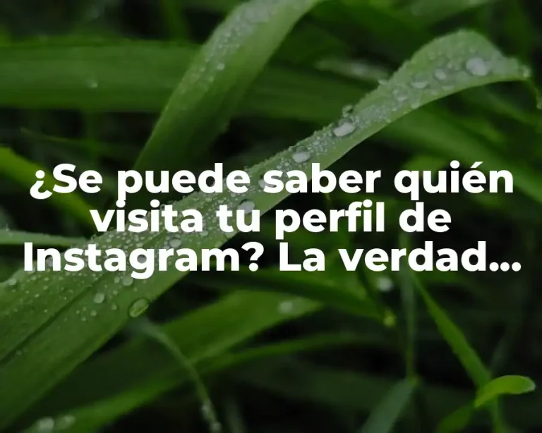 ¿Se puede saber quién visita tu perfil de Instagram? La verdad revelada