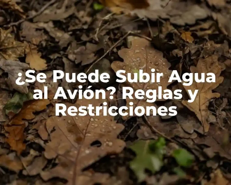 ¿Se Puede Subir Agua al Avión? Reglas y Restricciones